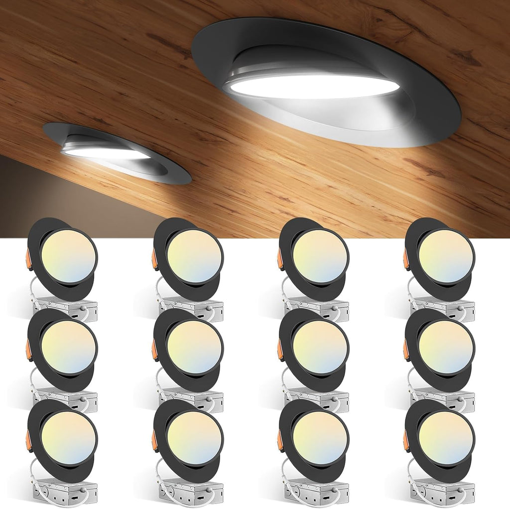 6in Black Gimbal Light 5CCT