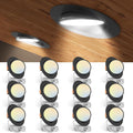6in Black Gimbal Light 5CCT